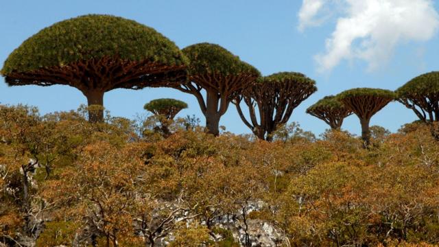 العدوان الأمريكي يقر بإنشاء منظومة دفاع صاروخية في سقطرى بحجة التصدي لهجمات الحوثي