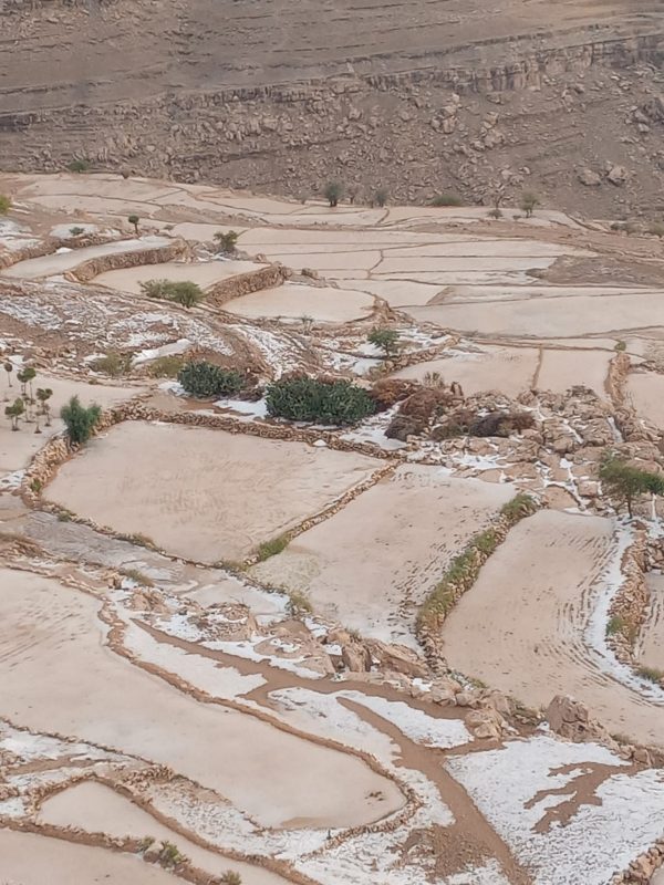 اليمن يواجه جفافًا حادًا يؤثر على القطاع الزراعي ومخزونات المياه